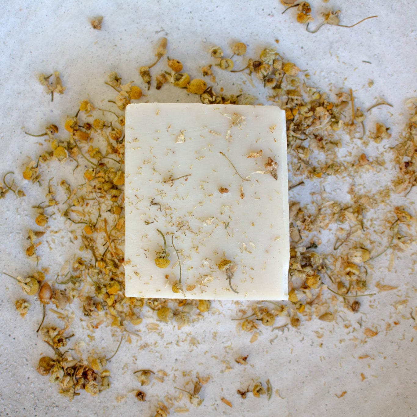 Bar of soap surrounded by dried chamomile flowers on a textured surface