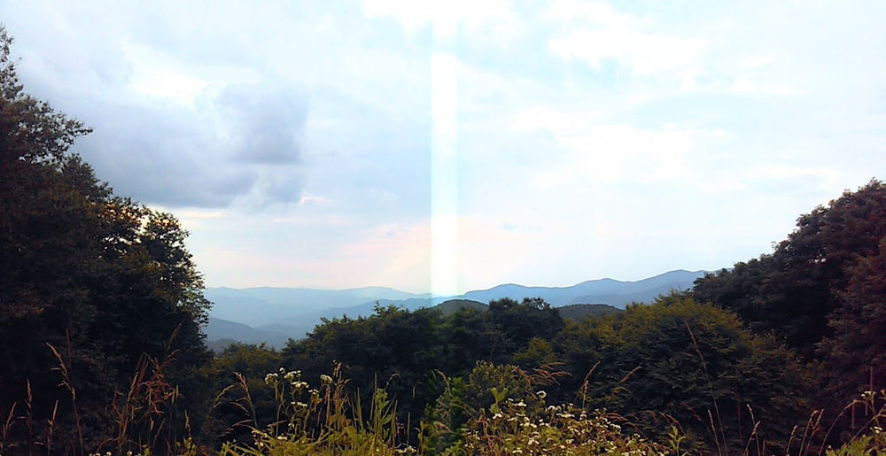 Scenic view of trees and mountains with a rainbow in the distance.
